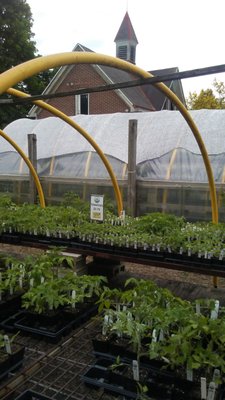 Garden Dreams Urban Farm & Nursery - Grow Pittsburgh by null