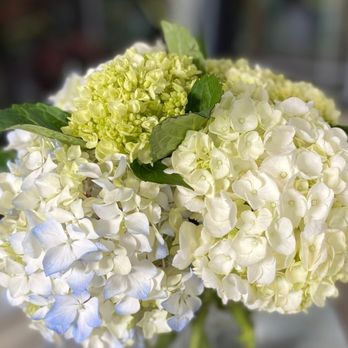 The Flower Bucket - Floral Designers Near Me - Waco, Texas The Flower Bucket - Floral Designers Near Me - Waco, Texas