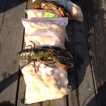 Boston Scuba - Production scallop and lobster diving - Scuba Diving Near Me - Boston, Massachusetts