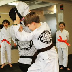 Martial Arts Revelation