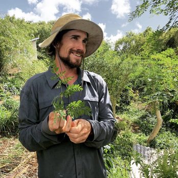 The Giving Tour - Farm Tour guide Travis holding a baby Moringa tree. - Walking Tours Near Me The Giving Tour - Farm Tour guide Travis holding a baby Moringa tree. - Walking Tours Near Me