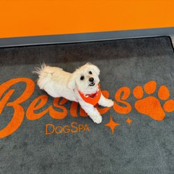 Besties DogSpa - Vanilla Bean!