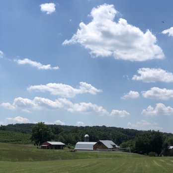 Black Ankle Vineyards - Wineries Near Me - Mount Airy, Maryland Black Ankle Vineyards - Wineries Near Me - Mount Airy, Maryland
