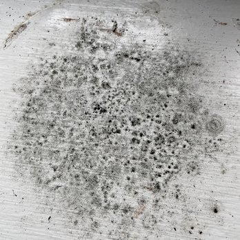 Broadmoor Apartments - Mold everywhere- accumulated on windowsills after two weeks - Apartments Near Me - Hamden, Connecticut Broadmoor Apartments - Mold everywhere- accumulated on windowsills after two weeks - Apartments Near Me - Hamden, Connecticut