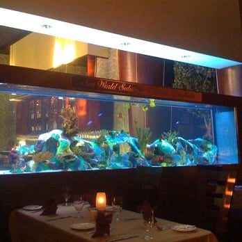 Everglades Restaurant - Seafood Near Me - Orlando, Florida Everglades Restaurant - Seafood Near Me - Orlando, Florida