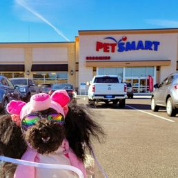 Stopped by for some special treats on Halloween!!