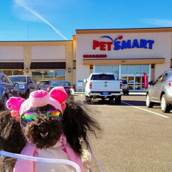 PetSmart - Stopped by for some special treats on Halloween!! - Pet Groomers Near Me - Spokane, Washington