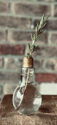 Whiskey Cake Kitchen & Bar by null