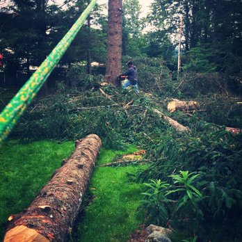 AAA Tree Service - Tree Services Near Me AAA Tree Service - Tree Services Near Me