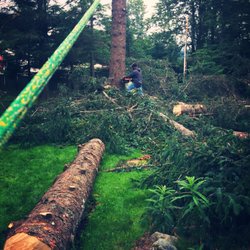 AAA Tree Service