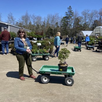 Moose Crossing Garden Center - Nurseries & Gardening Near Me - Waldoboro, Maine Moose Crossing Garden Center - Nurseries & Gardening Near Me - Waldoboro, Maine