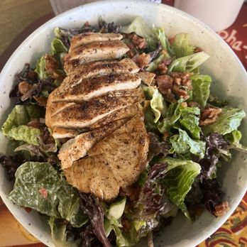 Cheeseburger In Paradise - Bacon chicken ranch salad - Burgers Near Me - Honolulu, Hawaii