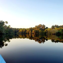 Camp Venice RV Resort - Myakka River