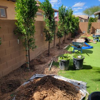 Az Lawn Pro - Lawn Services Near Me