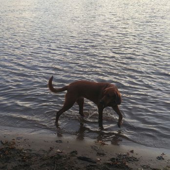 Wilson Park - Hunter - Parks Near Me - St. Cloud, Minnesota