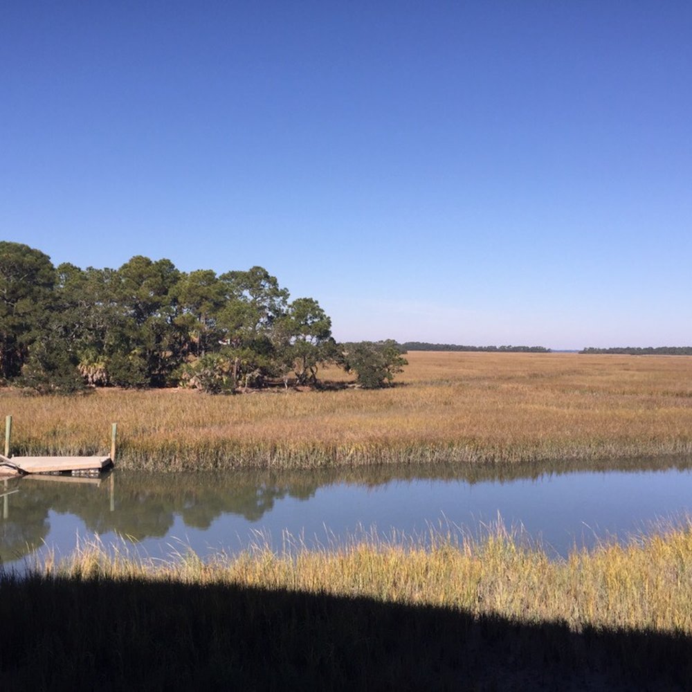 Fripp Island Marina - Marsh area - Boating Near Me - Saint Helena, South Carolina