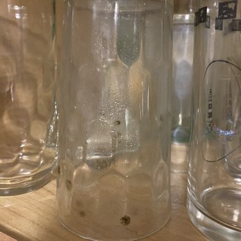 Joe Maggio Realty - Moldy drinking glasses - Real Estate Agents Near Me - Rehoboth Beach, Delaware Joe Maggio Realty - Moldy drinking glasses - Real Estate Agents Near Me - Rehoboth Beach, Delaware