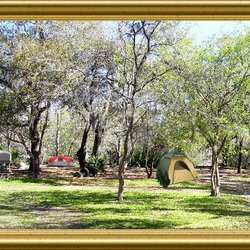 Withlacoochee River RV Park & Canoe Rental - Withlacoochee River RV Park & Canoe Rental