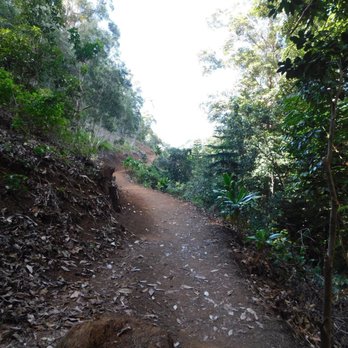 Aiea Loop Trail - Hiking Near Me - Aiea, Hawaii