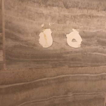 Hawks Cay Resort - Where shampoo holder used to be. - Resorts Near Me - Duck Key, Florida Hawks Cay Resort - Where shampoo holder used to be. - Resorts Near Me - Duck Key, Florida