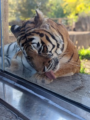 Milwaukee County Zoo by null