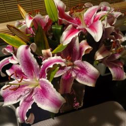 Nostalgia Flowers - Still really nice days later.