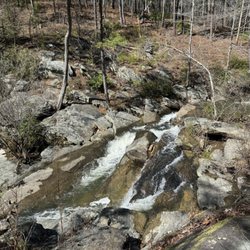 Talladega National Forest