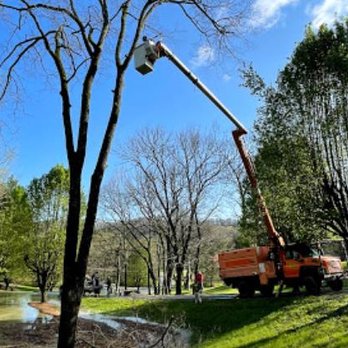 Wright Way Tree Trimmers - Tree Services Near Me Wright Way Tree Trimmers - Tree Services Near Me