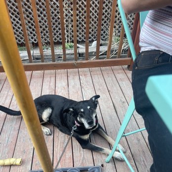 Full Tilt Saloon - Friendly for dogs and humans - Breakfast & Brunch Near Me - Ridgway, Colorado