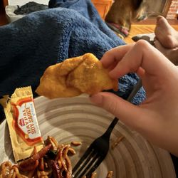 No 1 New China - Fried wonton