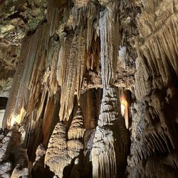 Luray Caverns - More beautiful fossils