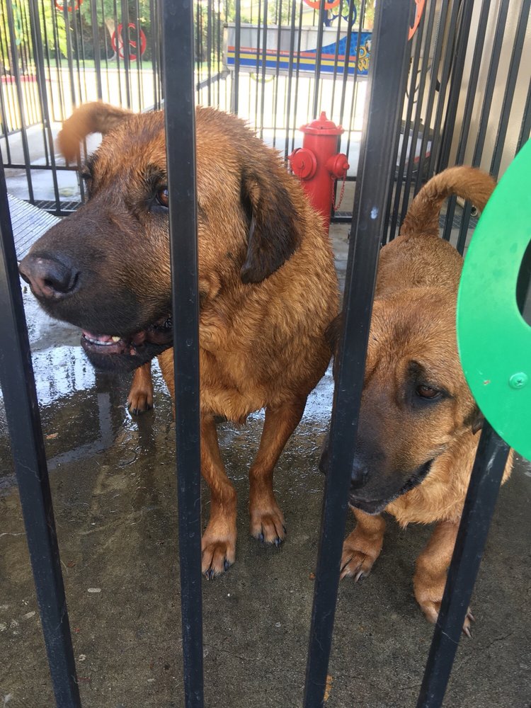 1098 Cachuma Car Wash, Ventura Roadtrippers