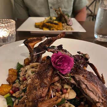 Cocha - GRILLED ORANGE POMAGRANATE QUAIL - New American Near Me - Baton Rouge, Louisiana Cocha - GRILLED ORANGE POMAGRANATE QUAIL - New American Near Me - Baton Rouge, Louisiana