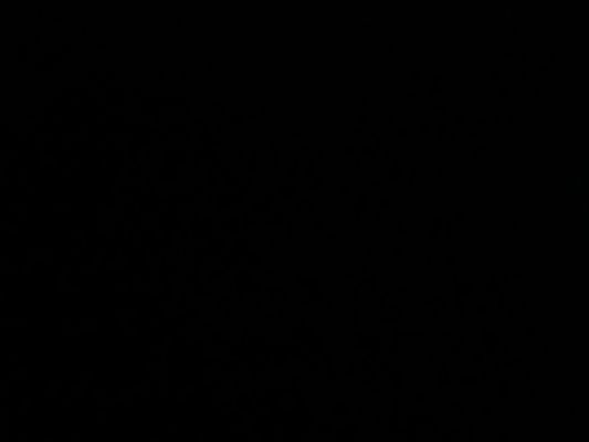 Winters Electric Logo