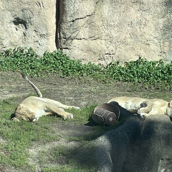 Racine Zoo - Zoos Near Me - Racine, Wisconsin Racine Zoo - Zoos Near Me - Racine, Wisconsin