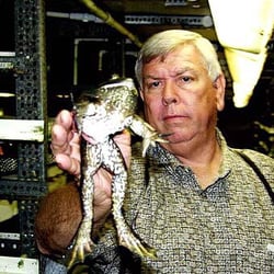 Ken's Hatchery & Fish Farm - Kens Bull Frogs :)