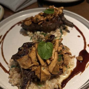 Saizon - Elk short rib - a lot smaller than expected. Perfect for just 2 people - New American Near Me - Fresno, California Saizon - Elk short rib - a lot smaller than expected. Perfect for just 2 people - New American Near Me - Fresno, California