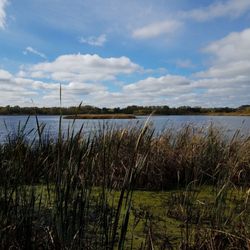 Purgatory Creek Park