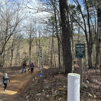 Wolf Pen Gap - The trails are wide enough for ATV's, dirt bikes and hikers. - Hiking Near Me - Mena, Arkansas