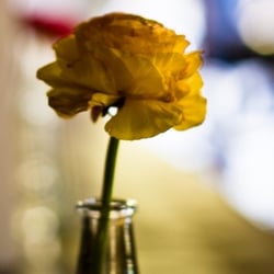 Teneria Tapas Wein Bar