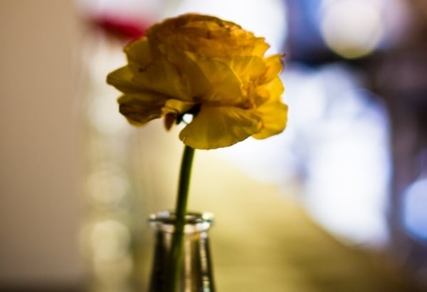 Teneria Tapas Wein Bar