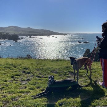 Duncan's Landing - Views and grass - Beaches Near Me - Bridgehaven, California