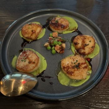 Gordon Ramsay Hell's Kitchen - Pan seared scallops - New American Near Me - Miami, Florida Gordon Ramsay Hell's Kitchen - Pan seared scallops - New American Near Me - Miami, Florida