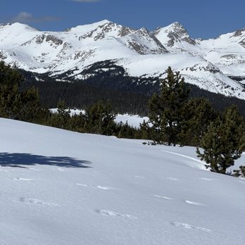 Guanella Pass - Historical Tours Near Me