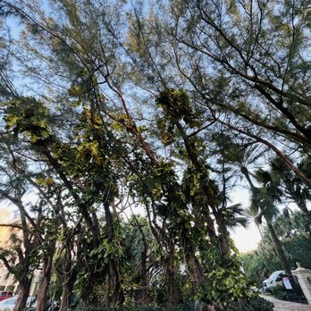 North Ocean Boulevard - Landmarks & Historical Buildings Near Me - Gulf Stream, Florida