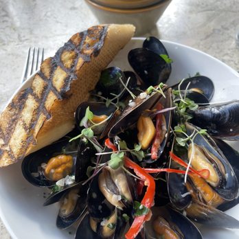 Celadon - Steamed Mussels - Seafood Near Me - Napa, California