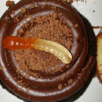 Crumbl - Ann Arbor - Dirt cup cookie my youngest sons favorite - Bakeries Near Me - Ann Arbor, Michigan