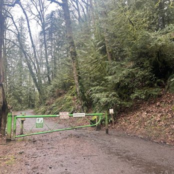Wildwood Trail - Entrance to trail - Hiking Near Me - Portland, Oregon Wildwood Trail - Entrance to trail - Hiking Near Me - Portland, Oregon
