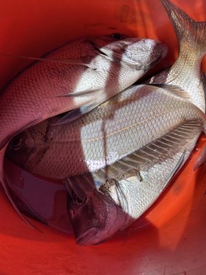 Zuke’s Bait And Tackle