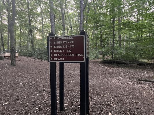 P. J. Hoffmaster State Park by null